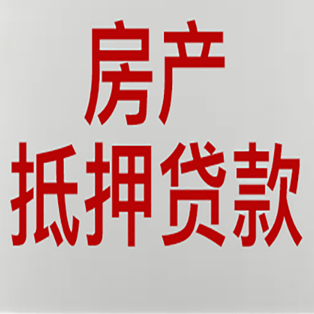 潼南贷款公司新渝启服推荐选择
